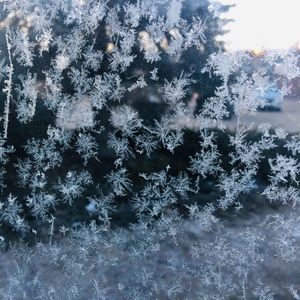 Meet your Posher, Jesmy alex